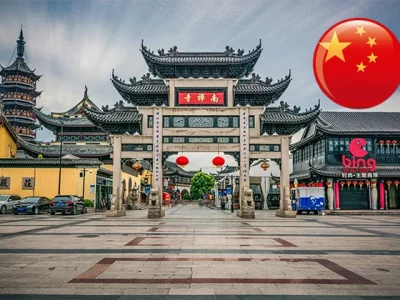 WebsiteDesign26_China_May09